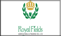 ROYAL FIELD 