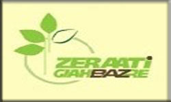 Faisal Zeerati-AFG