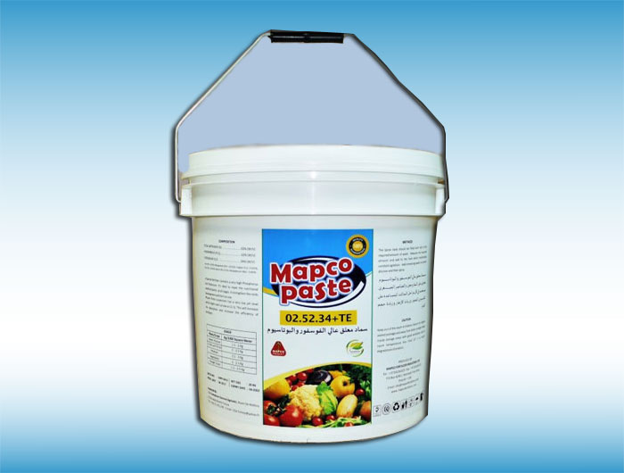 MAPCO PASTE (02-52-34)